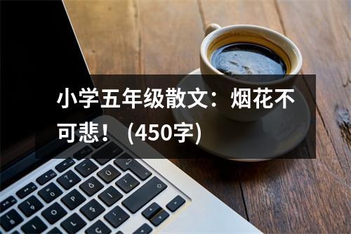 小學(xué)五年級散文：煙花不可悲！ (450字)