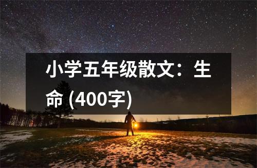 小學五年級散文：生命 (400字)