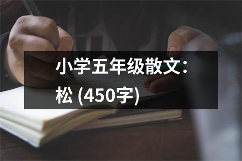 小學(xué)五年級散文：松 (450字)