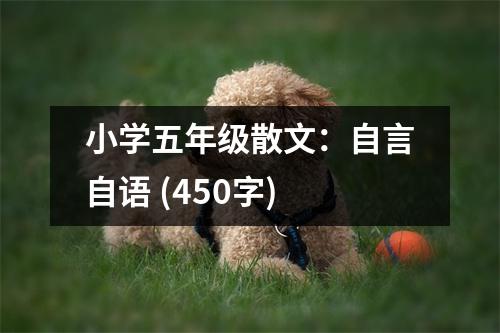 小學(xué)五年級散文：自言自語 (450字)