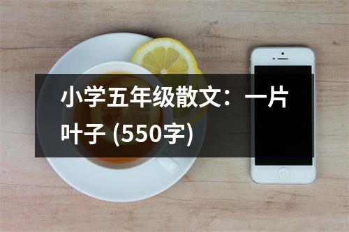 小學(xué)五年級(jí)散文：一片葉子 (550字)
