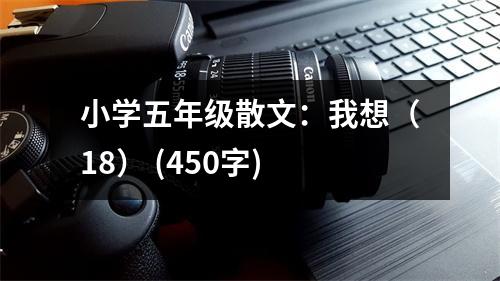 小學(xué)五年級散文：我想（18） (450字)
