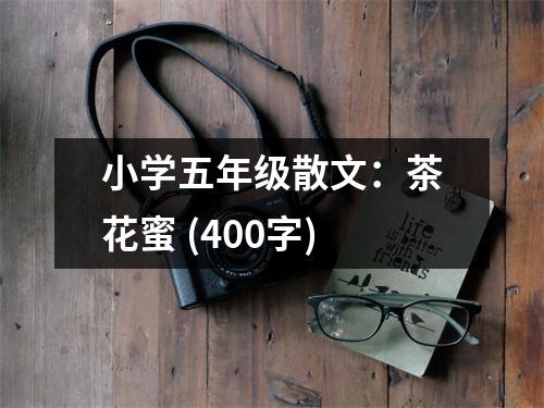 小學(xué)五年級散文：茶花蜜 (400字)