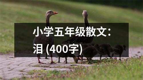 小學(xué)五年級散文：淚 (400字)