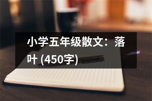 小學(xué)五年級(jí)散文：落葉 (450字)