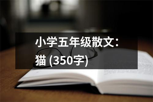 小學(xué)五年級(jí)散文：貓 (350字)