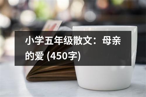 小學(xué)五年級散文：母親的愛 (450字)