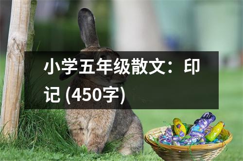 小學(xué)五年級(jí)散文：印記 (450字)