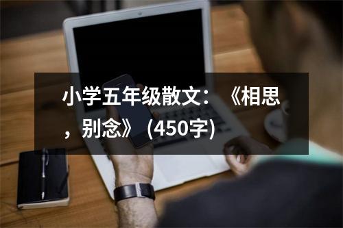 小學(xué)五年級散文：《相思，別念》 (450字)