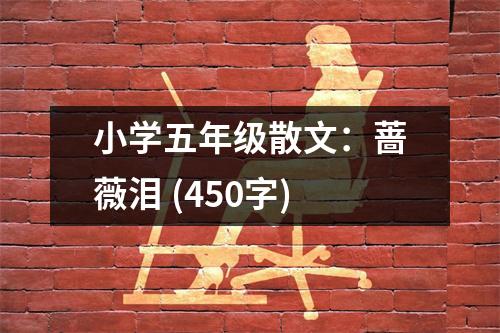 小學(xué)五年級(jí)散文：薔薇淚 (450字)