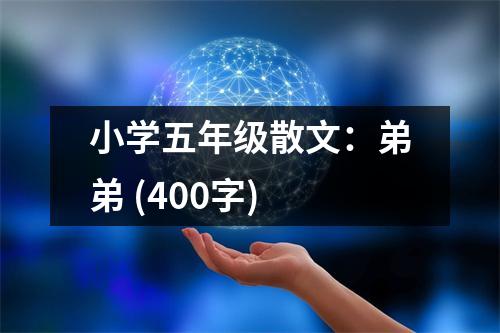 小學(xué)五年級散文：弟弟 (400字)