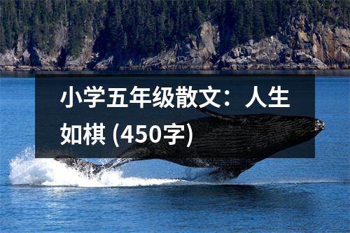 小學(xué)五年級散文：人生如棋 (450字)