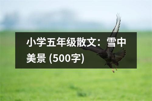 小學(xué)五年級(jí)散文：雪中美景 (500字)