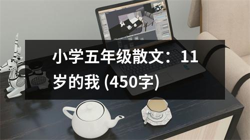 小學(xué)五年級散文：11歲的我 (450字)