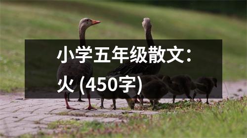 小學五年級散文：火 (450字)