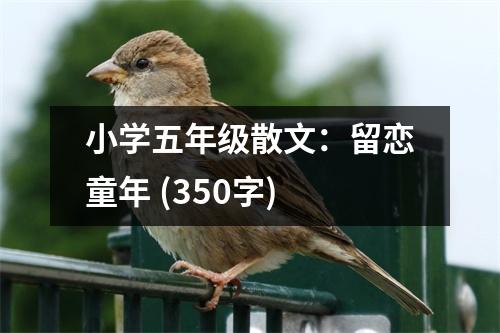 小學五年級散文：留戀童年 (350字)