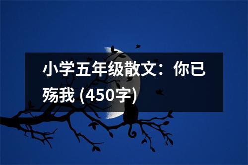 小學五年級散文：你已殤我 (450字)