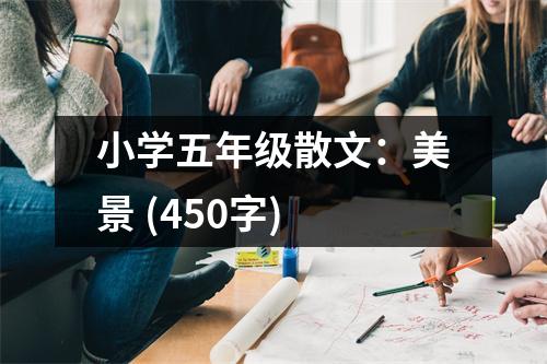 小學(xué)五年級(jí)散文：美景 (450字)