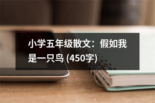 小學(xué)五年級散文：假如我是一只鳥 (450字)