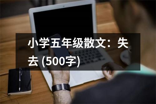 小學五年級散文：失去 (500字)