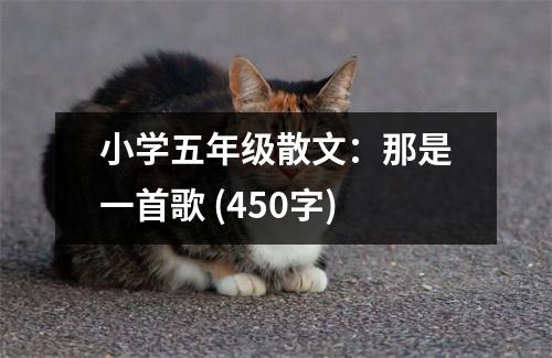 小學(xué)五年級(jí)散文：那是一首歌 (450字)