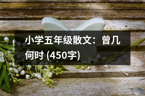 小學(xué)五年級散文：曾幾何時(shí) (450字)