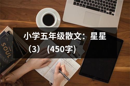 小學五年級散文：星星（3） (450字)