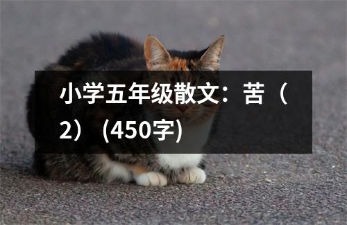 小學五年級散文：苦（2） (450字)