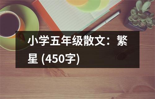 小學(xué)五年級(jí)散文：繁星 (450字)