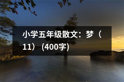 小學(xué)五年級(jí)散文：夢(mèng)（11） (400字)