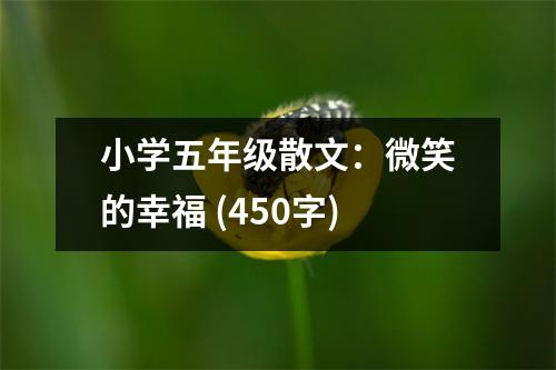 小學(xué)五年級(jí)散文：微笑的幸福 (450字)