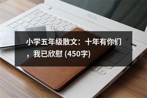小學(xué)五年級(jí)散文：十年有你們，我已欣慰 (450字)