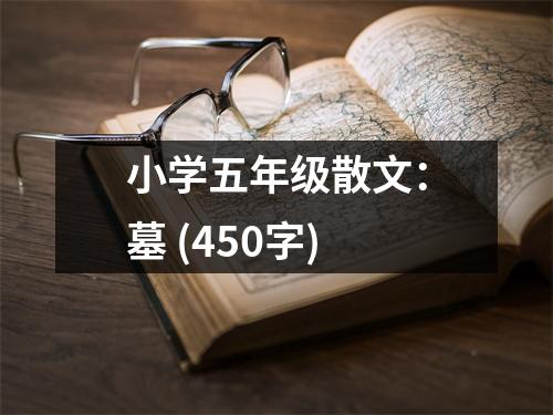 小學(xué)五年級(jí)散文：墓 (450字)