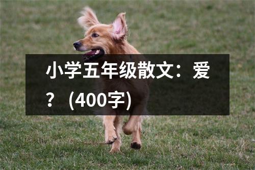 小學(xué)五年級(jí)散文：愛？ (400字)