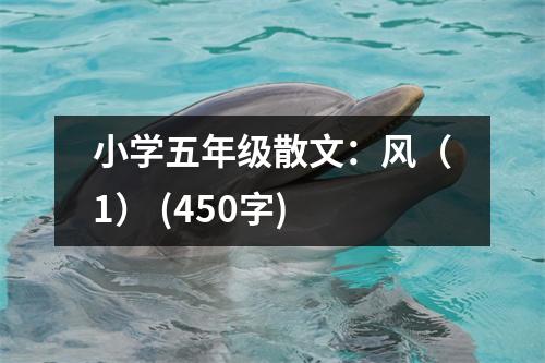 小學(xué)五年級(jí)散文：風(fēng)（1） (450字)