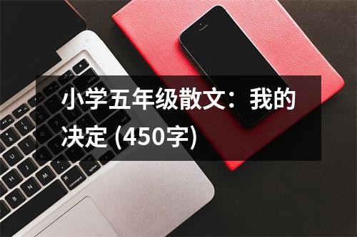 小學(xué)五年級散文：我的決定 (450字)