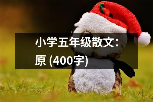 小學(xué)五年級(jí)散文：原 (400字)