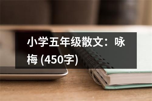 小學(xué)五年級(jí)散文：詠梅 (450字)