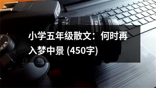 小學(xué)五年級散文：何時(shí)再入夢中景 (450字)