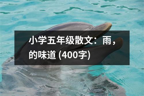 小學(xué)五年級(jí)散文：雨，的味道 (400字)