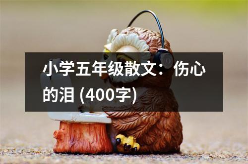 小學(xué)五年級(jí)散文：傷心的淚 (400字)