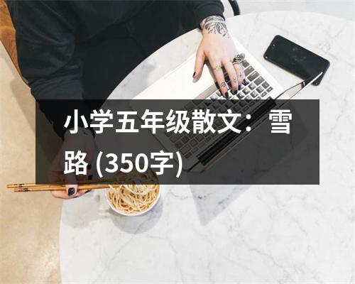 小學五年級散文：雪路 (350字)