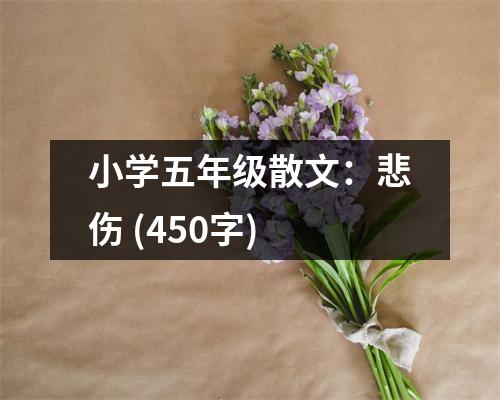 小學五年級散文：悲傷 (450字)