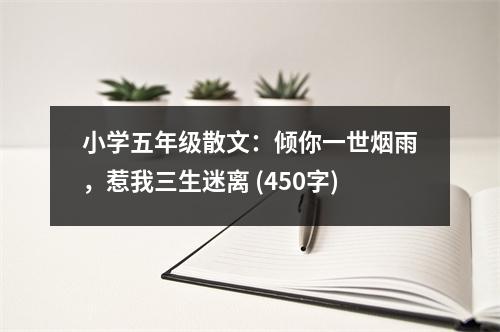 小學(xué)五年級(jí)散文：傾你一世煙雨，惹我三生迷離 (450字)