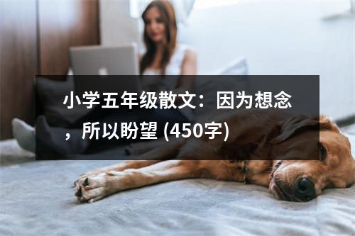 小學(xué)五年級(jí)散文：因?yàn)橄肽睿耘瓮?(450字)