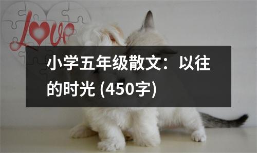 小學(xué)五年級散文：以往的時光 (450字)