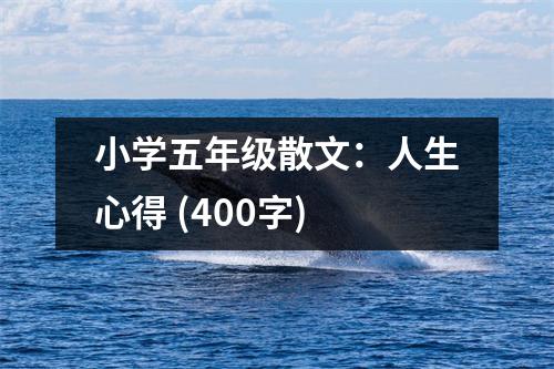 小學(xué)五年級(jí)散文：人生心得 (400字)