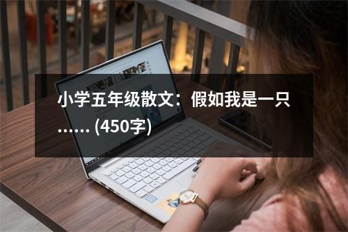 小學(xué)五年級(jí)散文：假如我是一只...... (450字)