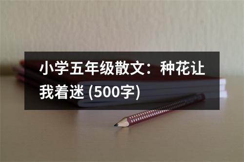小學(xué)五年級(jí)散文：種花讓我著迷 (500字)