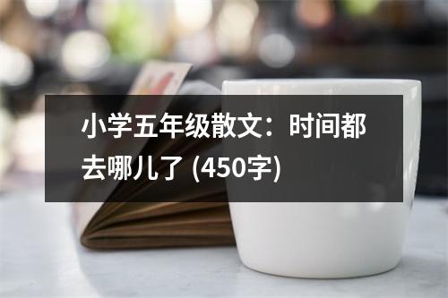 小學(xué)五年級(jí)散文：時(shí)間都去哪兒了 (450字)